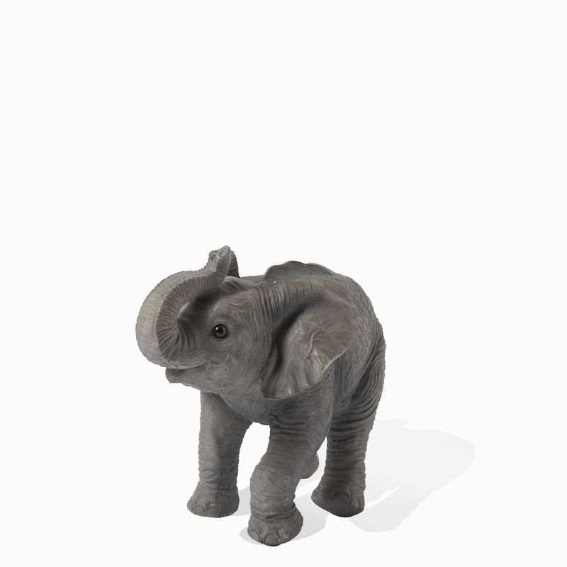 Mini elefante mirada arriba