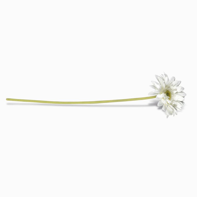 Gerbera blanca 47cm | Ambiente Gourmet
