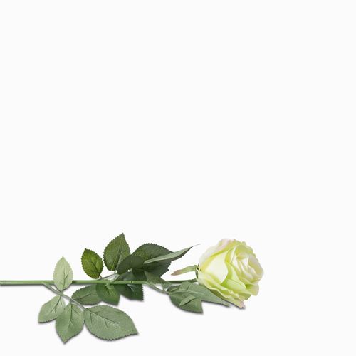 Rosa verde 76 cm