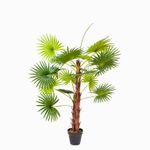 Mini palmera ventilador 120 cm