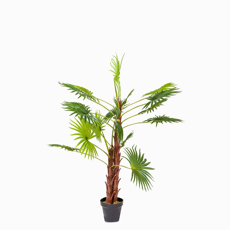 Mini palmera ventilador 120 cm