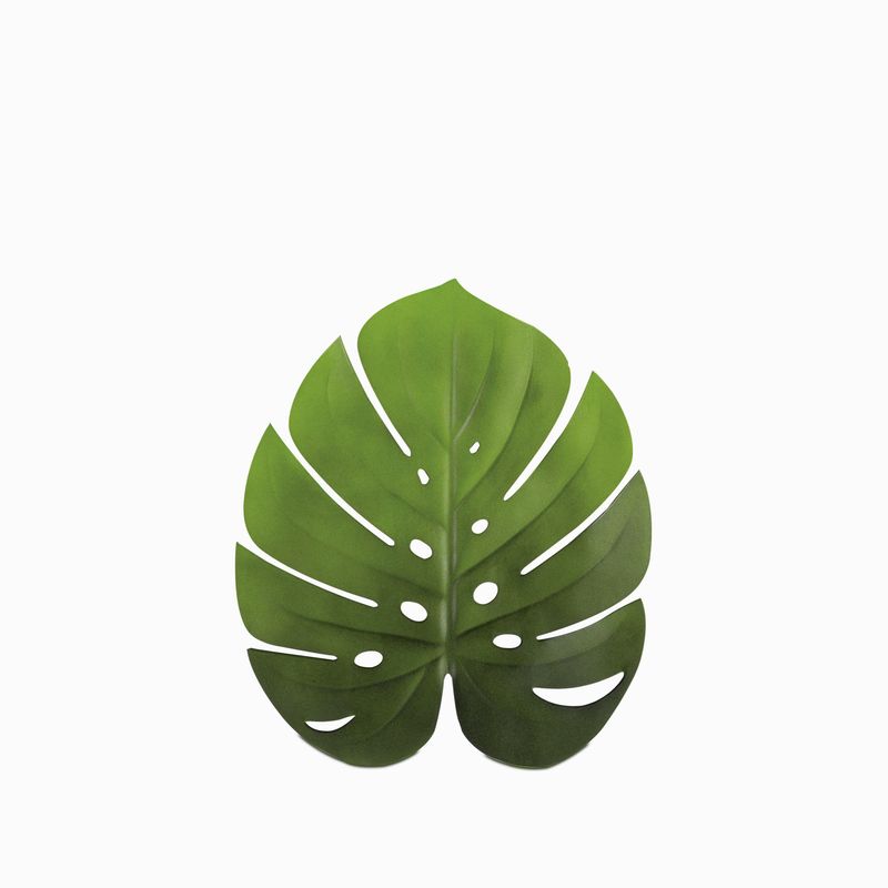 Individual-hoja-monstera