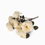Bouquet rosas crema
