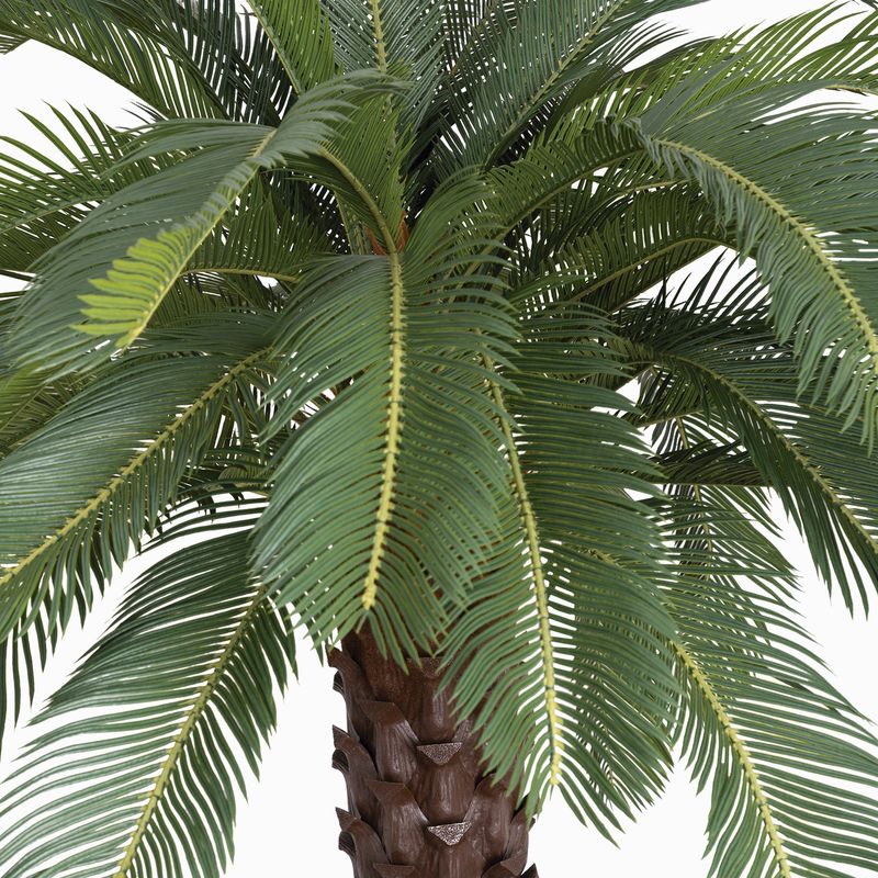 Arbol de cycad abierto 210cm