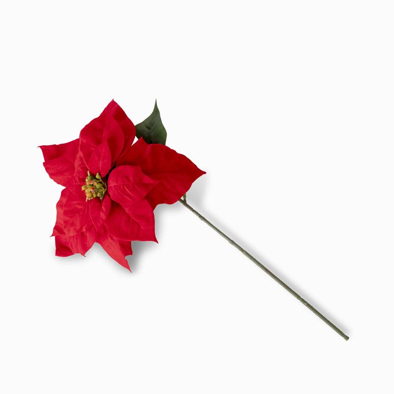 Poinsettia roja 50cm