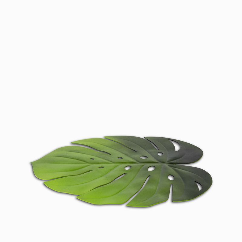 Individual-hoja-monstera