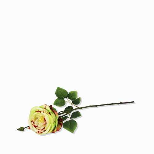 Rosa spray verde 67cm