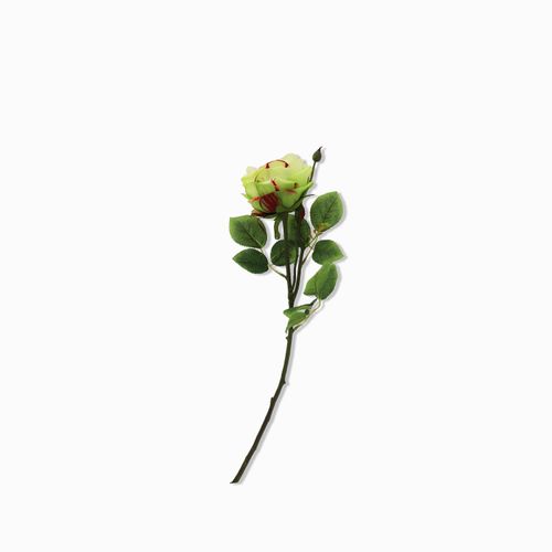 Rosa spray verde 67cm
