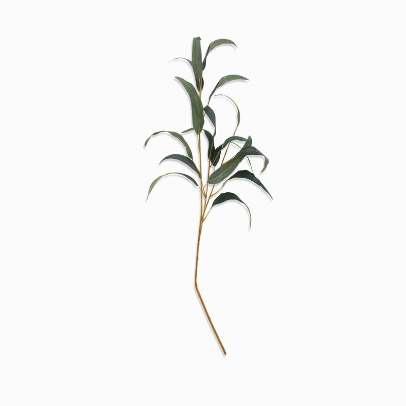 Racimo-eucalipto-68cm