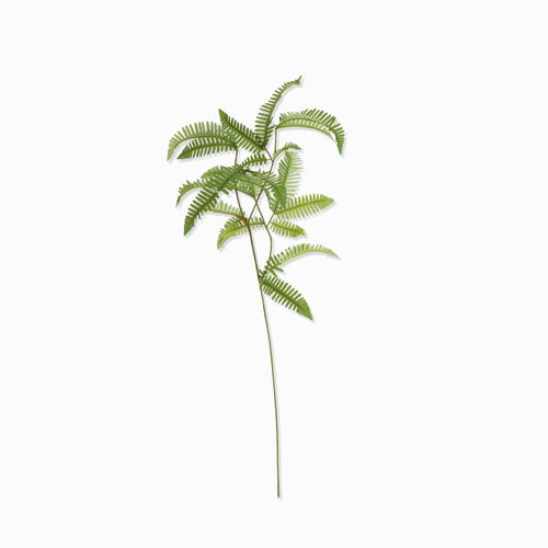 Hojas spay 68cm