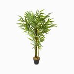 Planta-bambu-180cm