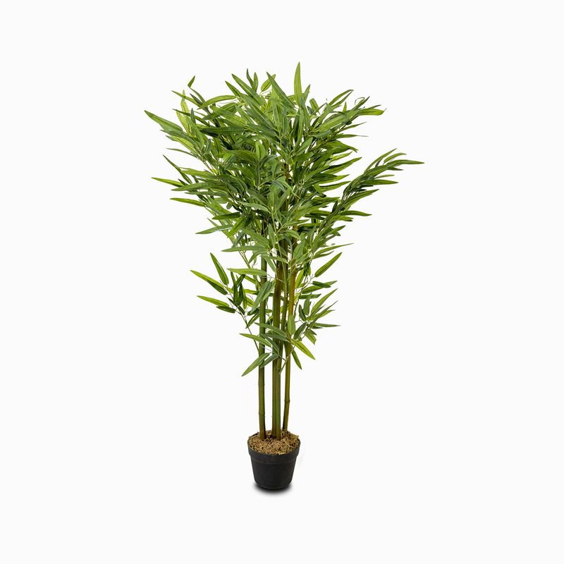 Planta bambu 130cm | Ambiente Living