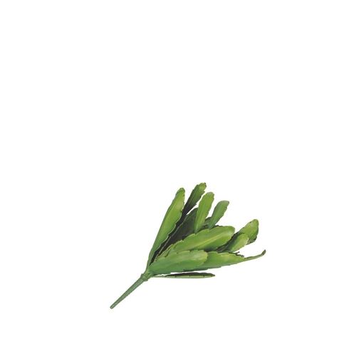 Cactus 40.64 cm