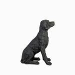 Perro-labrador