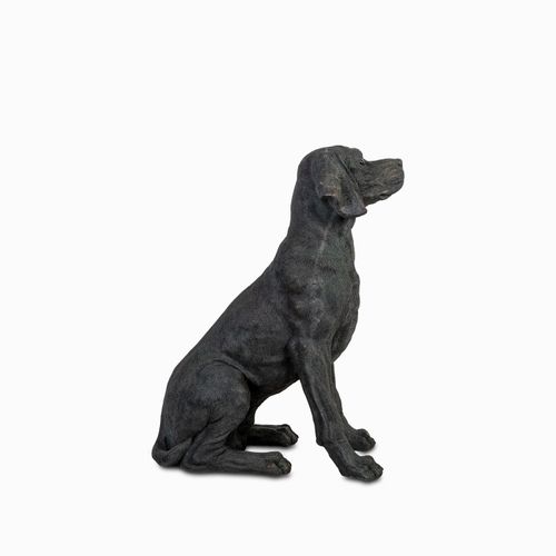 Perro labrador