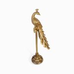 Pavo-real-en-stand