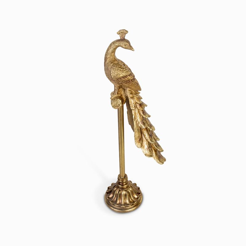 Pavo-real-en-stand