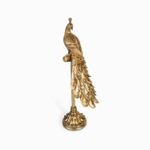 Pavo-real-en-stand