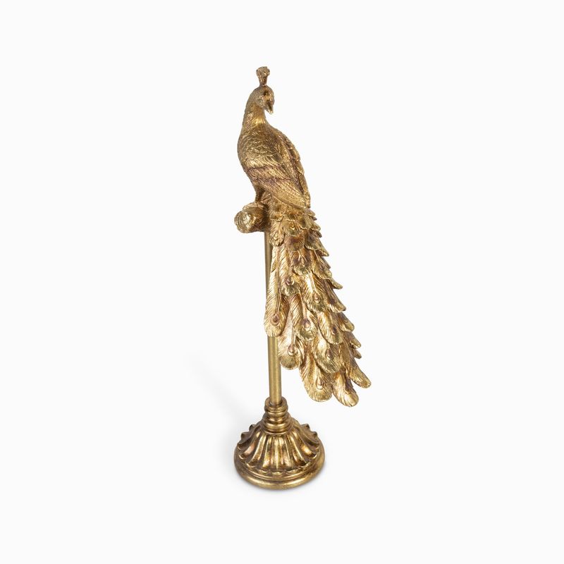 Pavo-real-en-stand