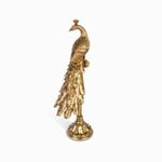 Pavo-real-en-stand