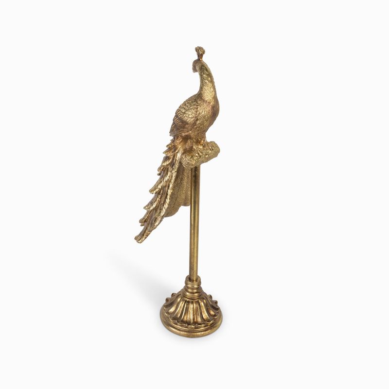 Pavo-real-en-stand