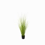 Planta-pampas-120cm