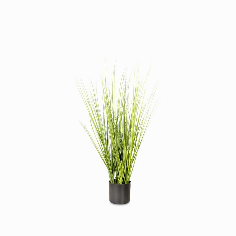 Planta-pampas-100cm