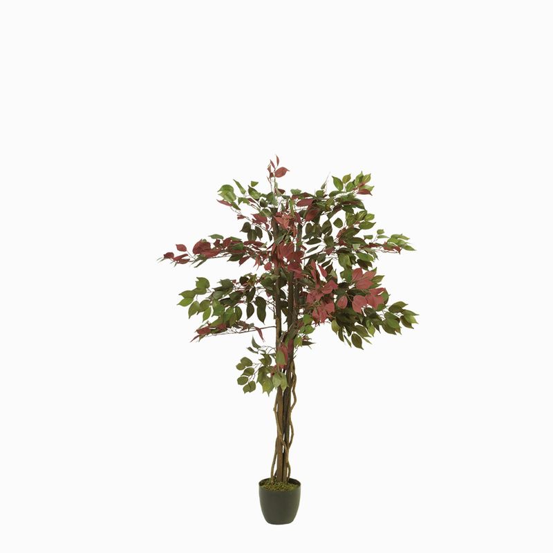 Arbol-Ficus-150-cm