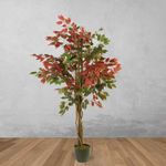 Arbol-Ficus-150-cm