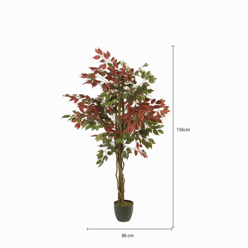 Arbol-Ficus-150-cm