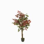 Arbol-Ficus-150-cm