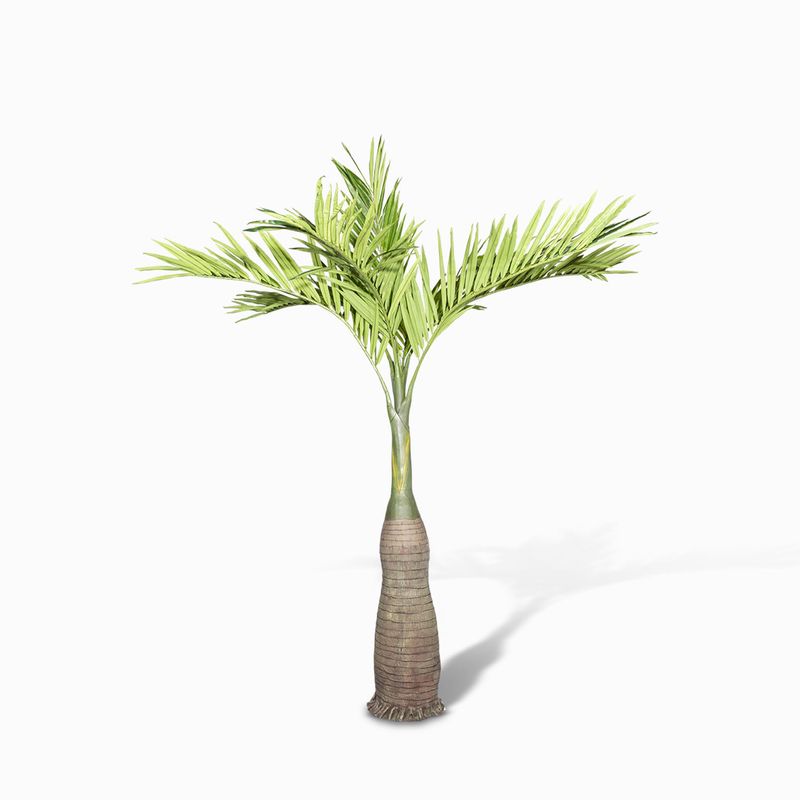 Palmera-Amarilla-290-cm