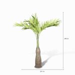 Palmera-Amarilla-290-cm