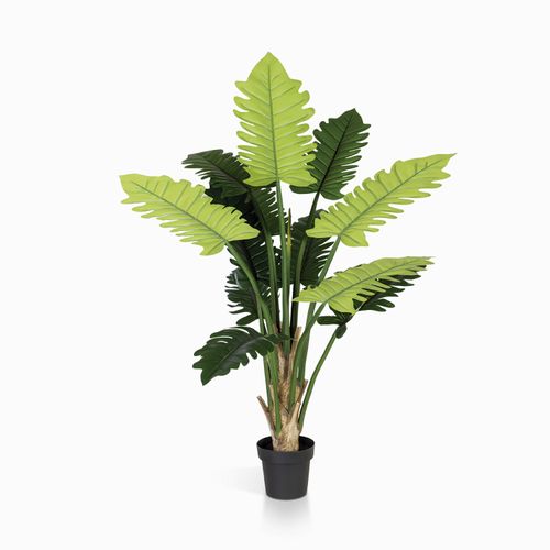 Planta Philo 150 cm