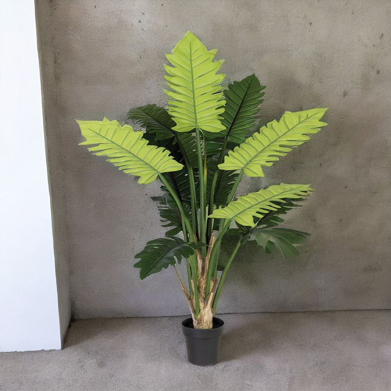 Planta-Philo-150-cm