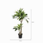 Dracena-130-cm