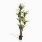 Planta-Agave-180-cm