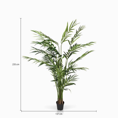 Palma Artificial