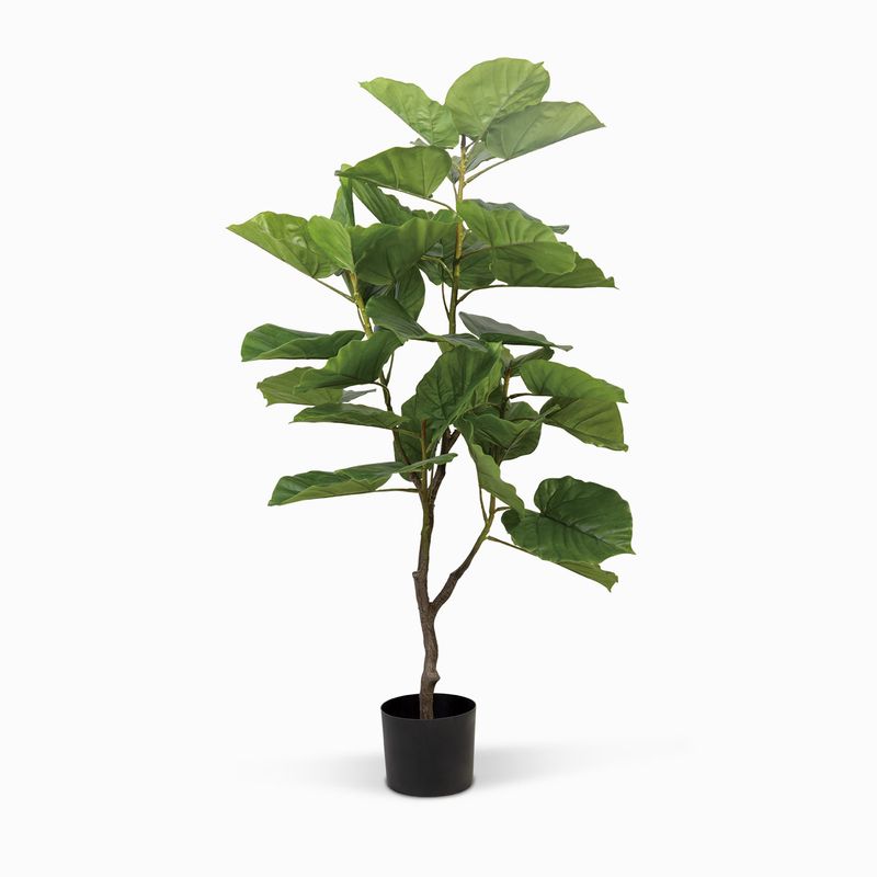 Arbol-Ficus-125-cm