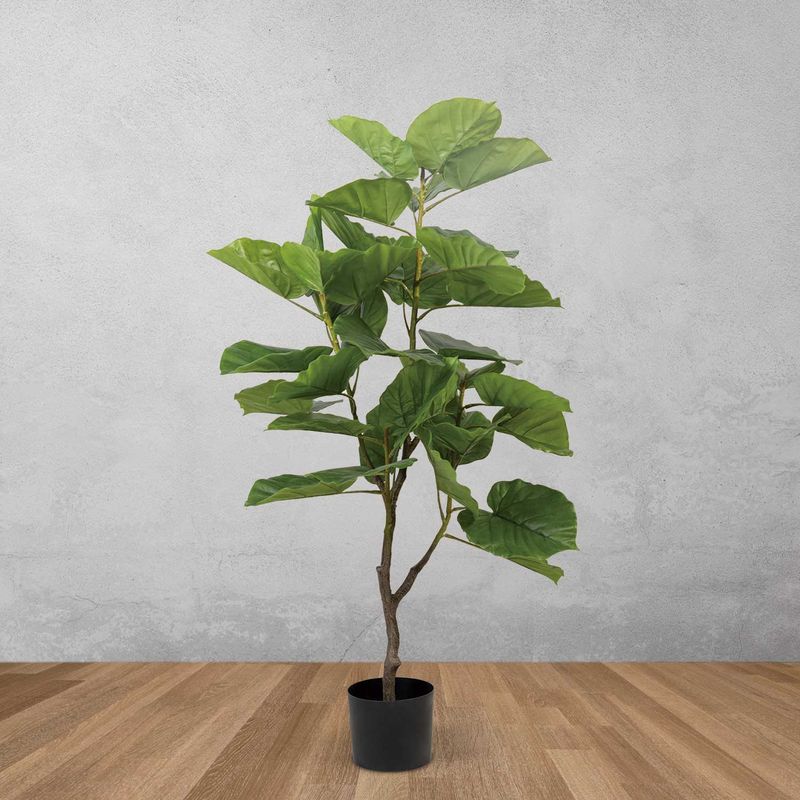 Arbol-Ficus-125-cm