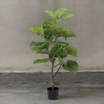 Arbol-Ficus-125-cm