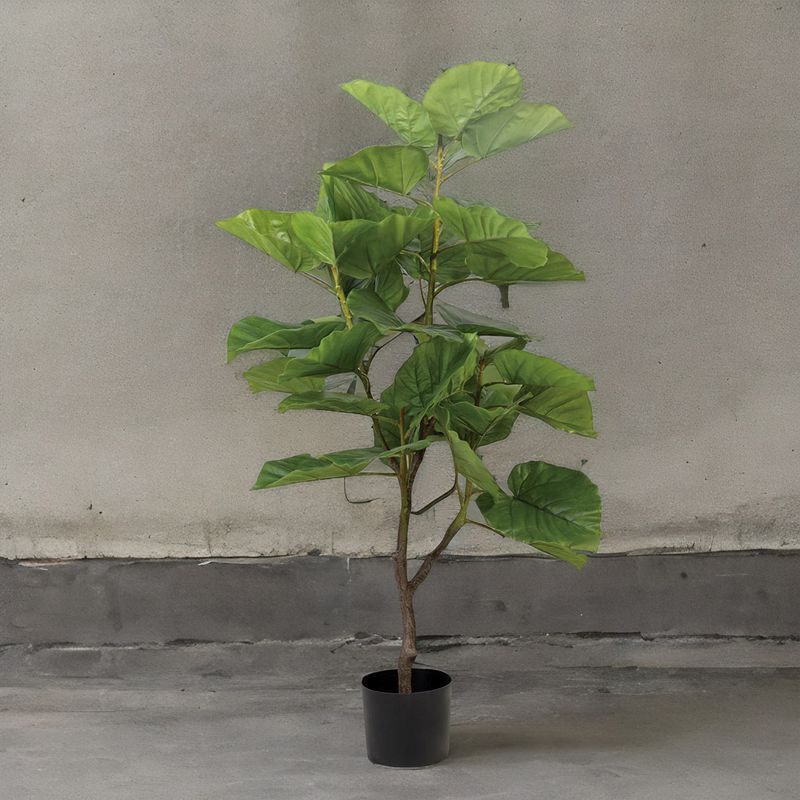 Arbol-Ficus-125-cm