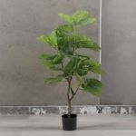 Arbol-Ficus-125-cm