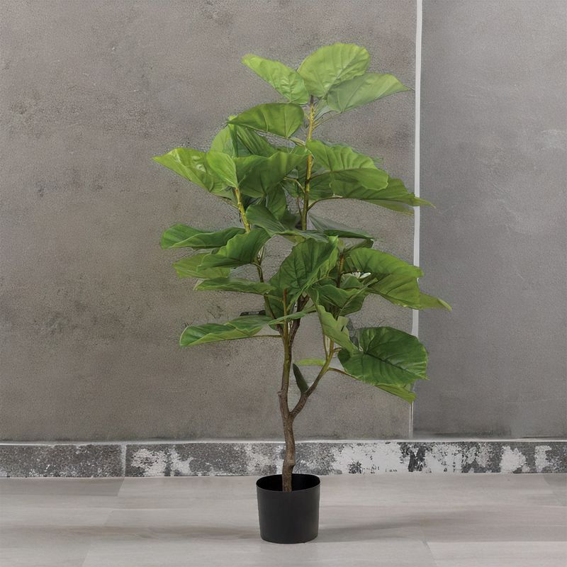 Arbol-Ficus-125-cm