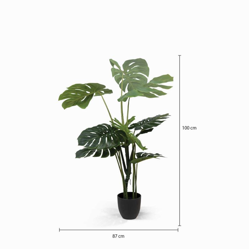 Planta-Monstera-120-cm