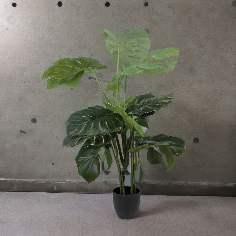 Planta-Monstera-120-cm
