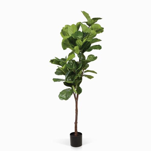 Árbol Lyrata Artificial 165 cm