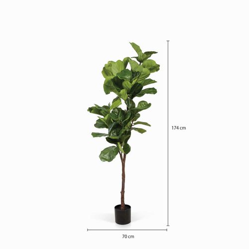 Árbol Lyrata Artificial 165 cm