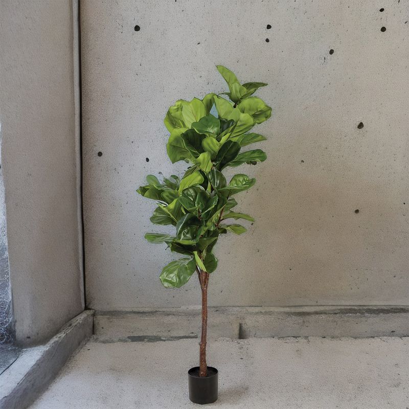 Arbol-Lyrata-165-cm