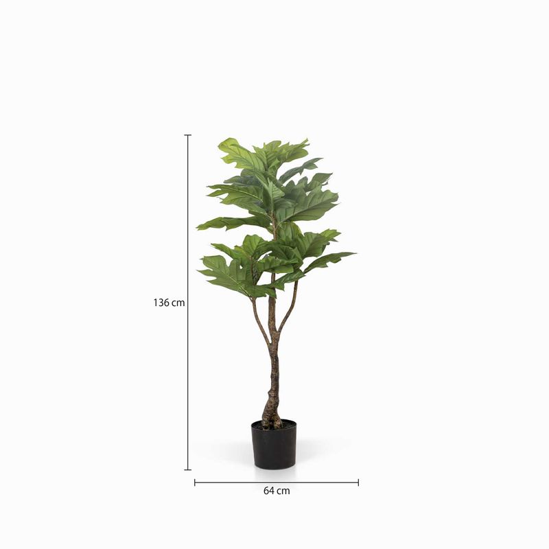 Arbol-Artocarpus
